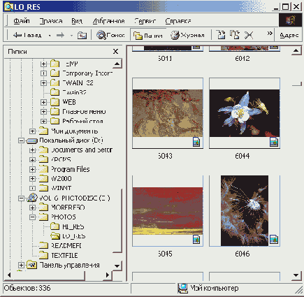 Windows XP - 
