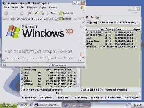 Иллюстрированный самоучитель по Windows XP