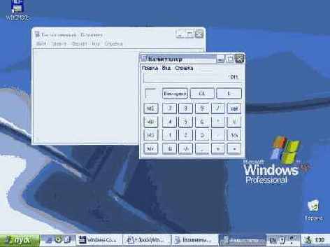 Иллюстрированный самоучитель по Windows XP