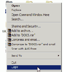     Windows XP
