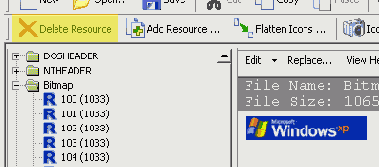     Windows XP
