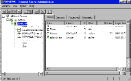 Начинаем работать с Windows NT Terminal Server