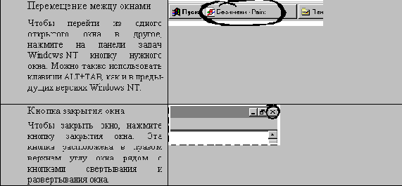   Windows NT
