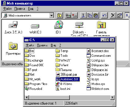   Windows NT
