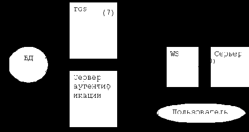      Windows NT
