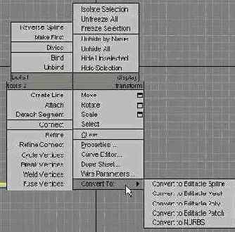 DS MAX 7