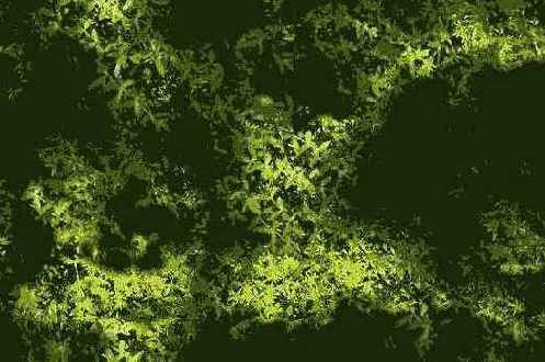     3dsmax5

