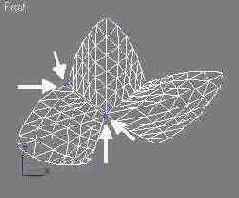    3dsmax7.5
