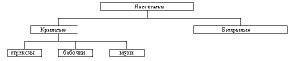 Объектно-ориентированное программирование на C++