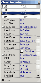   C++ Builder
