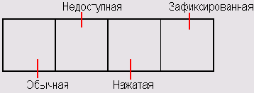   C++ Builder
