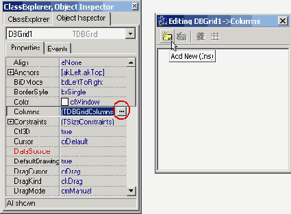   C++ Builder
