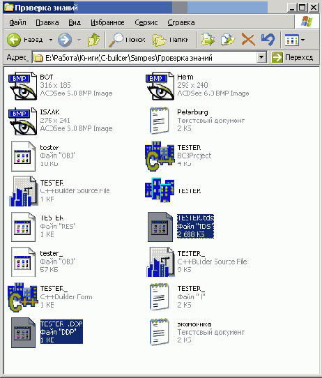   C++ Builder
