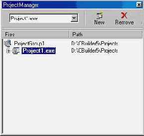 C++    ++ Builder 5
