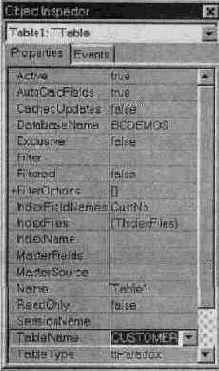  C++ Builder

