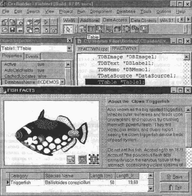  C++ Builder

