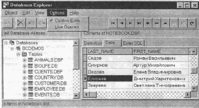  C++ Builder
