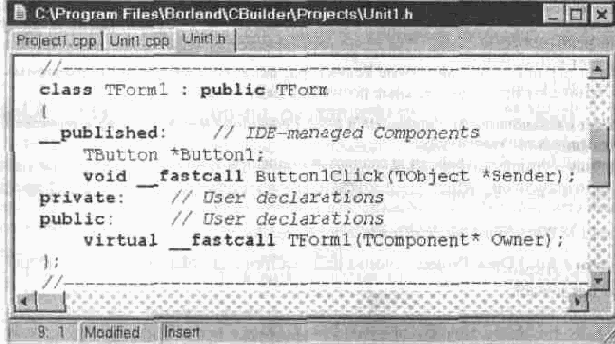  C++ Builder
