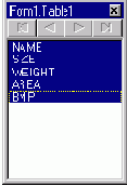 Borland C++ Builder