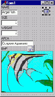 Borland C++ Builder