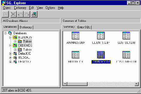 Borland C++ Builder