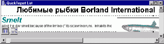 Borland C++ Builder