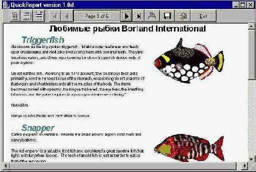 Borland C++ Builder